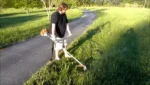 STIHL FS 250 Motorna kosa