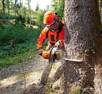 Stihl motorne testere